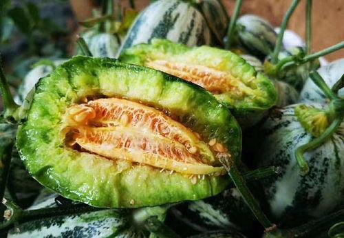 山东网红吃烧瓜视频,火辣滋味引发网友热议 第2张 山东网红吃烧瓜视频,火辣滋味引发网友热议 第2张