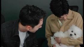 丞磊娱乐爆料是真的吗知乎,知乎热议事件真相揭晓” 第3张 丞磊娱乐爆料是真的吗知乎,知乎热议事件真相揭晓” 第3张